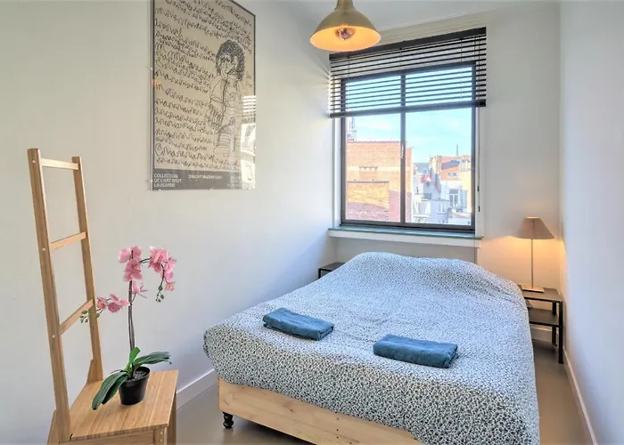 Spacious Apartments In The Heart Of Antwerp